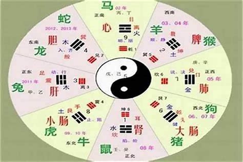 超字五行|超字的五行属性